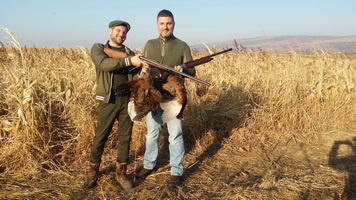 5 stars - Hunting Expedition in Romania !