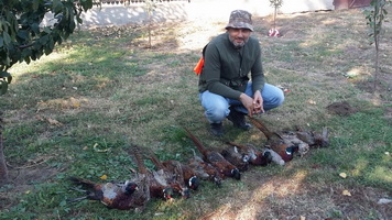 5 stars - Hunting Expedition in Romania !