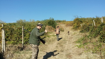 5 stars - Hunting Expedition in Romania !