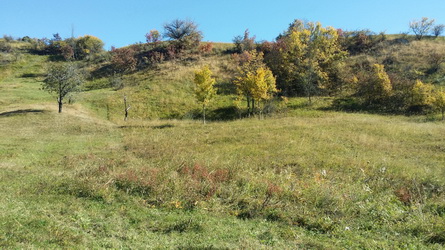 Hunting in Romania