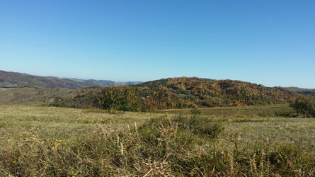 Hunting in Romania