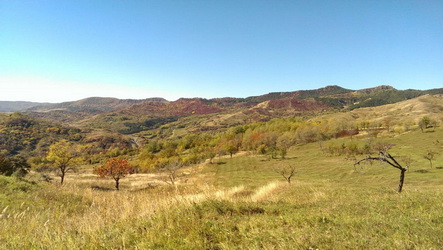 Hunting in Romania