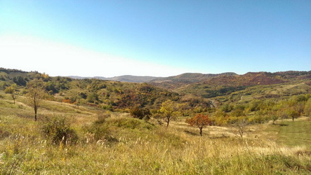 Hunting in Romania