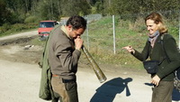 Hunting Red DEER in Romania