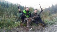 Hunting Red DEER in Romania