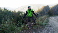 Hunting Red DEER in Romania