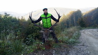 Hunting Red DEER in Romania