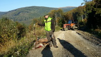 Hunting Red DEER in Romania