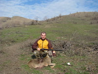 Hunting Roe Deer in Romania