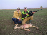 Hunting Roe Deer in Romania