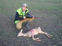 Hunting Roe Deer in Romania