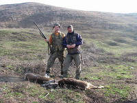 Hunting Roe Deer in Romania