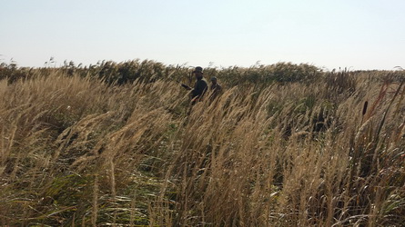 Hunting