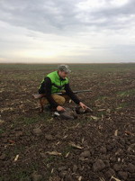 Hunting Geese in Romania