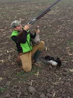 Hunting Geese in Romania