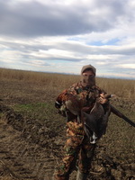 Hunting Geese in Romania