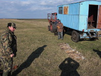 Hunting Rabbit in Romania