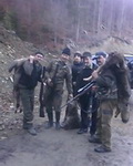 Hunting Wolf in Romania