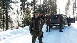 Hunting Wolf in Romania