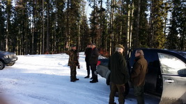 Hunting Wolf in Romania