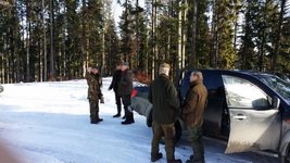 Hunting Wolf in Romania