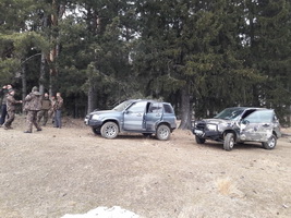Hunting Wild Boar in Romania