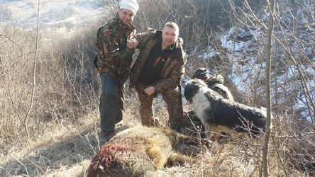Hunting Wild Boar in Romania