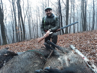 Hunting Wild Boar in Romania