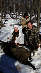 Hunting Wild Boar in Romania